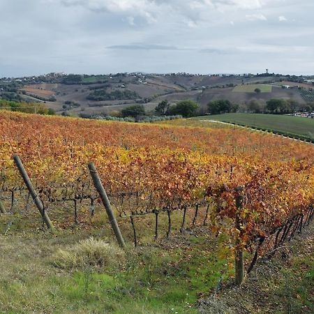 Belvedere Ostrense Agriturismo Al Rifugio Divino מראה חיצוני תמונה