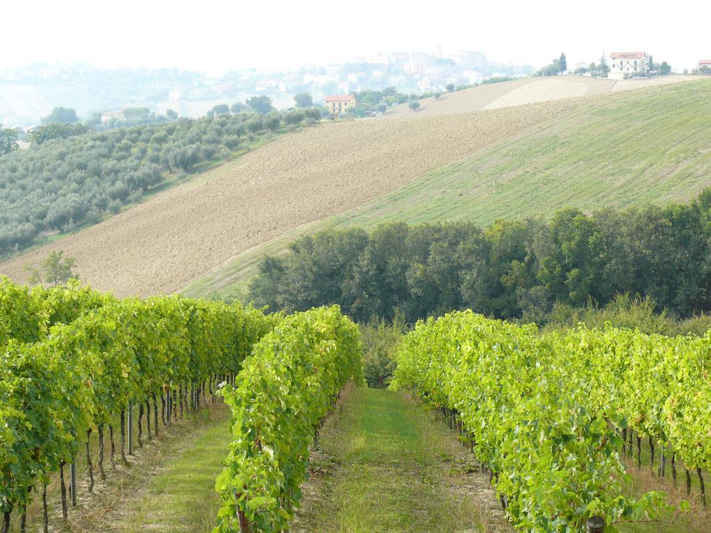 Belvedere Ostrense Agriturismo Al Rifugio Divino מראה חיצוני תמונה